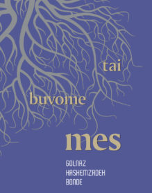 Det var vi lithuanian cover
